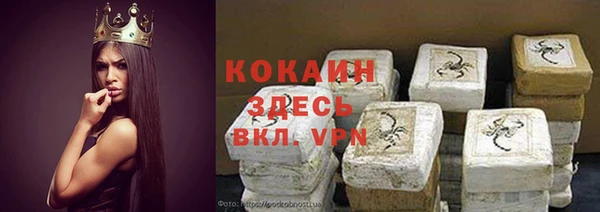 круглые Гусев