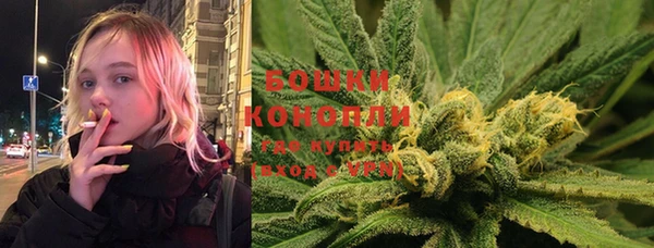 круглые Гусев