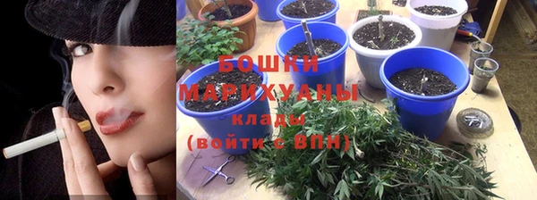 Альфа ПВП Гусиноозёрск