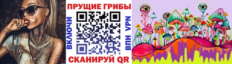 Купить где  Шали  Галлюциногенные грибы мицелий 